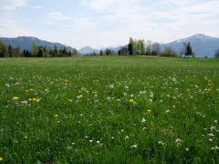 Zugerberg mit Rigi