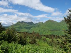 Kodiak