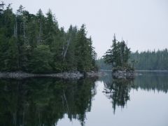 Oliver Cove