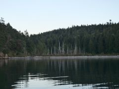 Shallow Bay