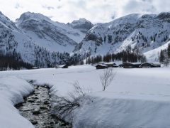 Davos