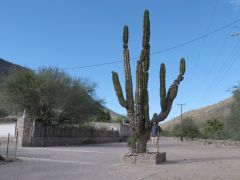 San Javier