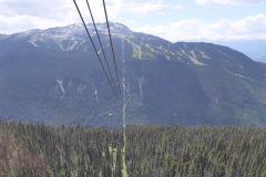 Whistler