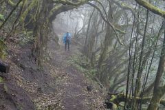 La Gomera